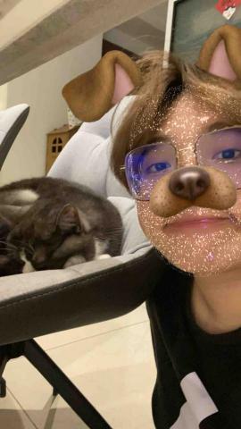 林昱臻 - 我與我的貓貓！