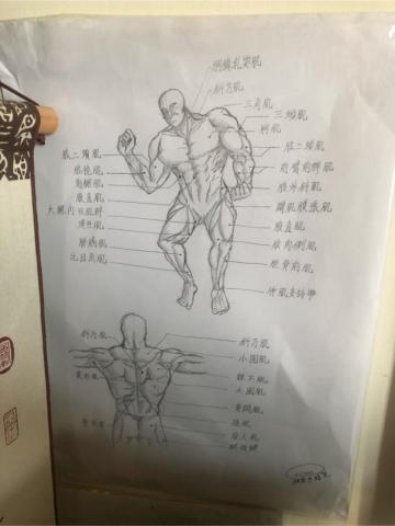 Mr.design  - 人體描繪