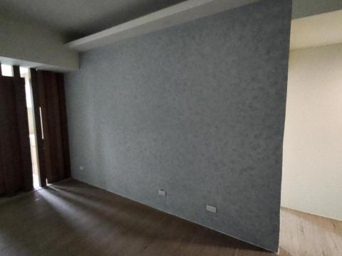 彩藝塗裝工作室 - 仿飾漆