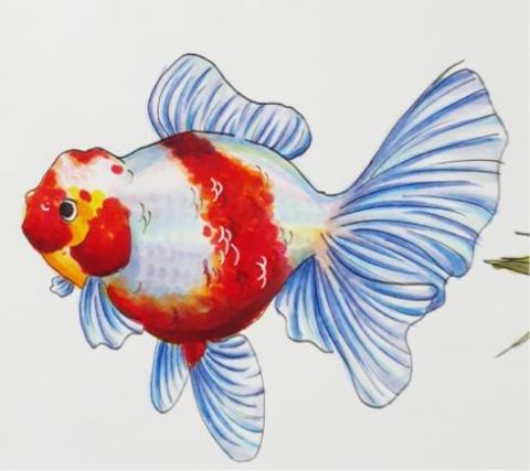 黃湘伶 - 《金魚》