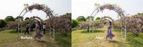 塵逸影像處理 - 請參考修圖前後