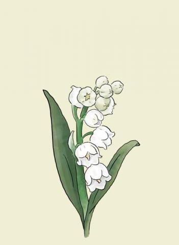 ORANJIN -  電繪作品：花