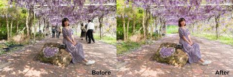 塵逸影像處理 - 請參考修圖前後