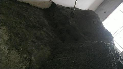 私人 - 這是幫業主挑沙