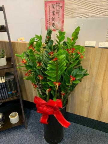 林慶皇律師 - 誠信法律事務所 林慶皇律師 - 誠信法律事務所