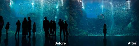 塵逸影像處理 - 請參考修圖前後