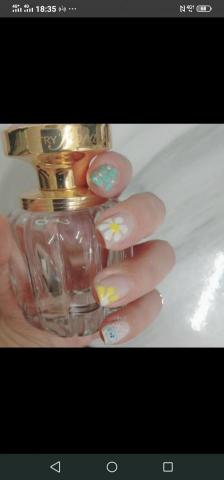 Chenail - 可愛雛菊