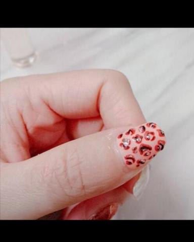 Chenail - 豹紋亮粉