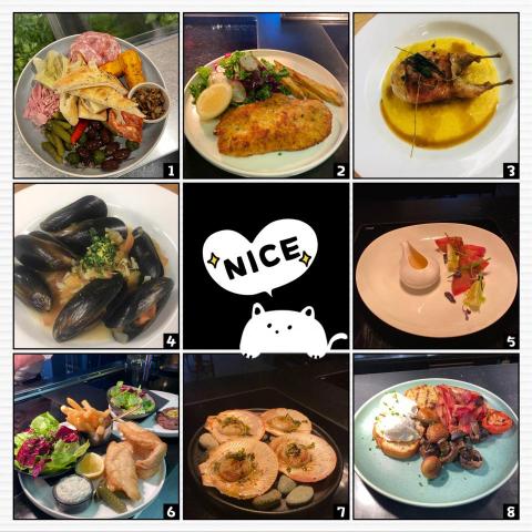 西餐、西點、餐飲專家 - 西餐類料理