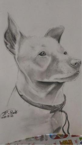 jai ping Ling - 寵物小狗素描（4）完成品
