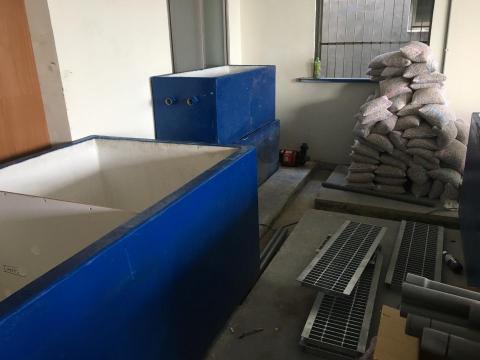 頂極水族工程有限公司 TAE - 新屋-大牛鮮魚