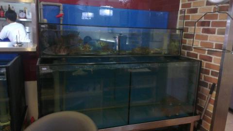 頂極水族工程有限公司 TAE - 台北-海人廚房