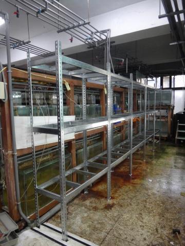 頂極水族工程有限公司 TAE - 台大漁業科學研究所