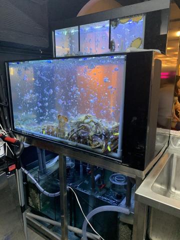 頂極水族工程有限公司 TAE - 台北微風百貨-鍋BAR