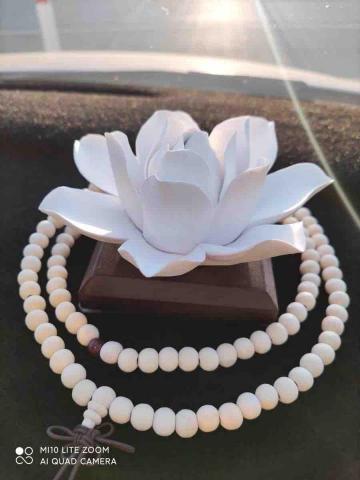 漢堡物流運輸 - Smile