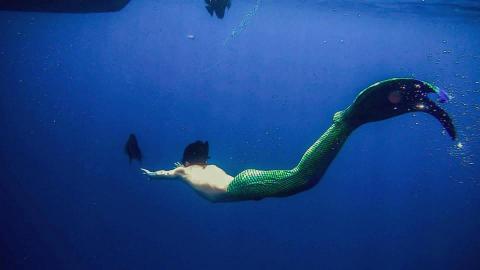 海鷗教練的游泳教室 - 自由潛水(表演性質單蹼)美人魚攝影照 海鷗教練的游泳教室 - 自由潛水(表演性質單蹼)美人魚攝影照