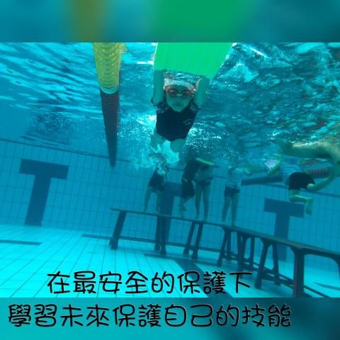 飛魚游泳教室 - 