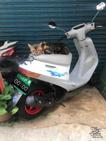 提供快遞服務的專家余文樂