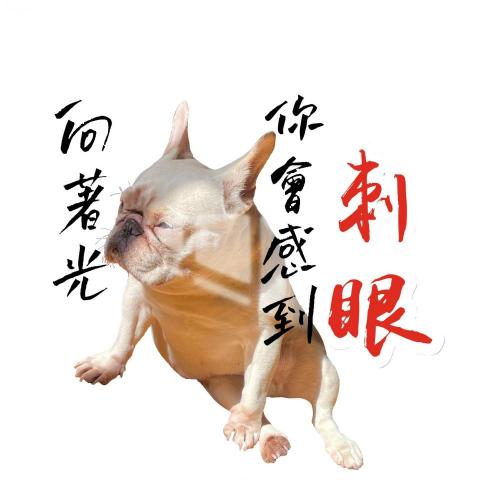 提供model模特服務的專家Wawa