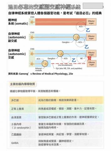 黃露萍 - 教自律神經系統