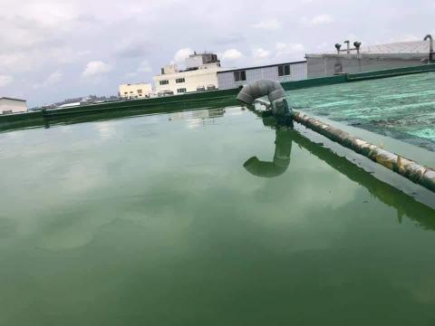 龍彩工程行 - 頂樓pu舊底打除後重新施作