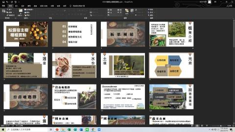 韻文 - 板栗種植課程簡報