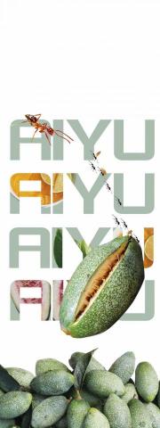 蔡汶樺 - 畢業製作中 說明愛玉和螞蟻的生活