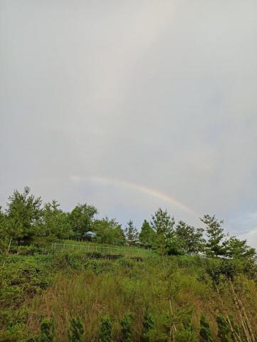 提供排版價錢服務的專家睿瑞