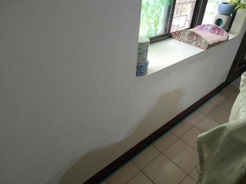 龍彩工程行 - 室內牆面批土修補與換色