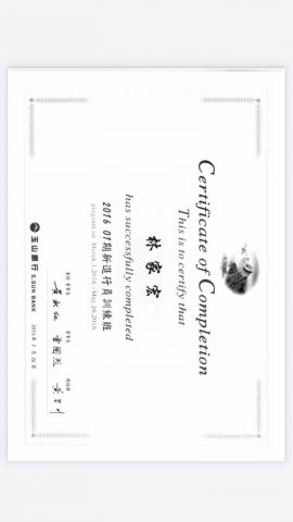 林家宏 - 銀行背景