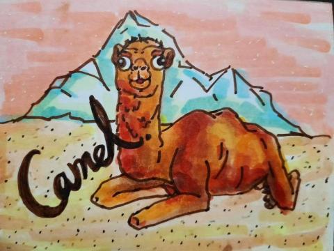 鴿子咕咕 - 麥克筆插畫練習