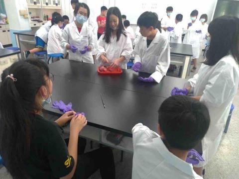 鄭庭 - 實驗課程