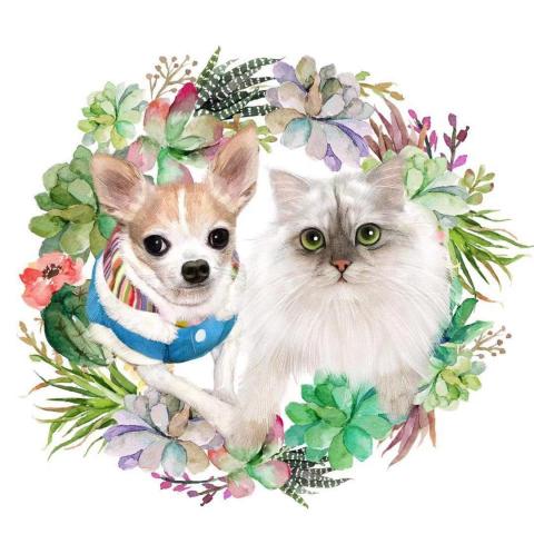 提供按讚攻擊服務的專家來聽毛孩說~動物溝通/寵物溝通