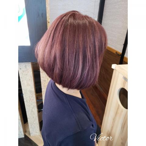 V3 Hair Salon  【新竹新豐髮廊】 - 