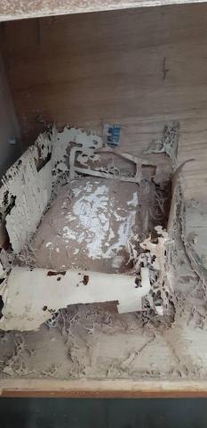 嘉澤滅鼠封堵防治工程 -  嘉澤滅鼠封堵防治工程 -