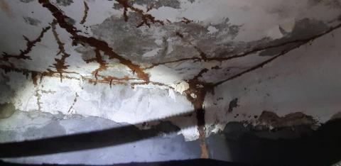 嘉澤滅鼠封堵防治工程 -  嘉澤滅鼠封堵防治工程 -