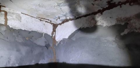 嘉澤滅鼠封堵防治工程 -  嘉澤滅鼠封堵防治工程 -