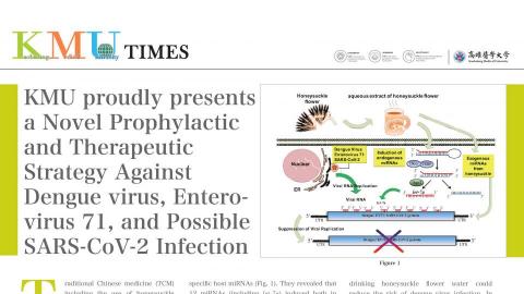 定藝文化工作室 - 高雄醫學大學國際事務處｜KMU TIMES電子報排版設計｜2020至今