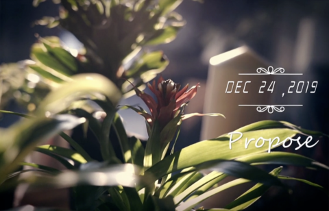 盛夏光點影像工作室/林真熙 - 求婚影片 盛夏光點影像工作室/林真熙 - 求婚影片