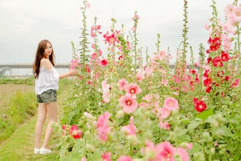 提供寫文服務的專家黃瀞漩