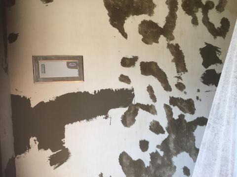 防水壁癌處理 - 