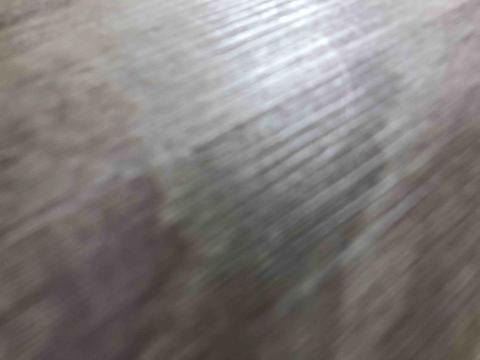 提供多益測驗服務的專家哈文課