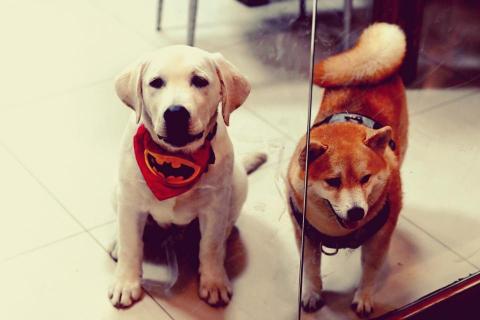 提供住宿服務的專家許梵宇