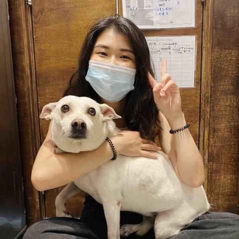 提供寄養狗服務的專家Ariel
