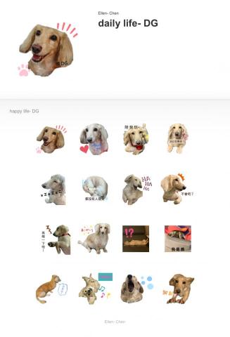 Ellen Chen - 臘腸DG