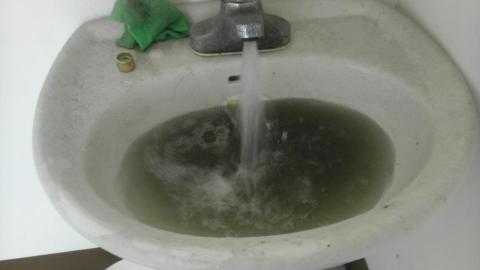 水管先生有限公司 - 給你滿滿的的青苔跟病菌