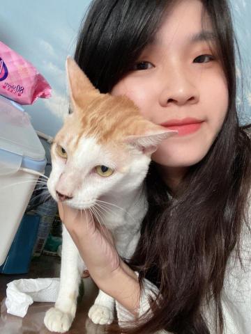 提供autocad服務的專家賴思妤