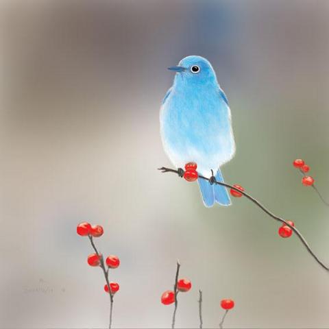 n's JARDIN  - 電繪作品 n's JARDIN  - 電繪作品