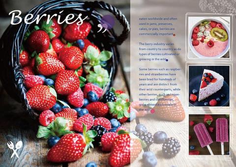 n's JARDIN  - DM/menu菜單  設計示範 n's JARDIN  - DM/menu菜單  設計示範