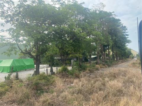 阿成 - 雜木雜草包括整地（施工前）